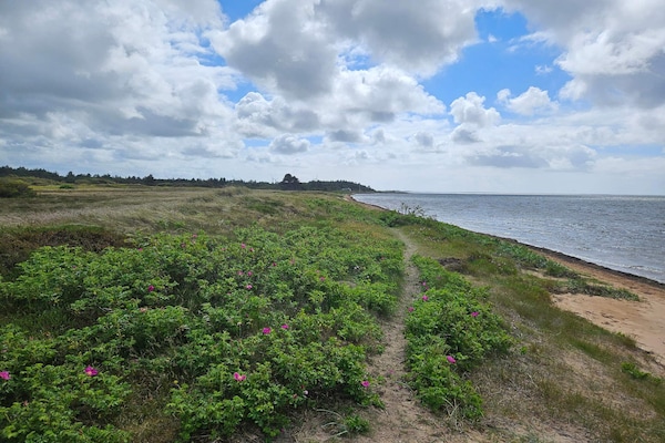 Foto van 6 persoons vakantie huis in Hemmet - Vakantiehuis in Hemmet - WaterView