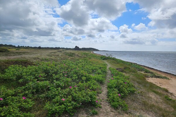 Foto van 6 persoons vakantie huis in Hemmet - Vakantiehuis in Hemmet - WaterView