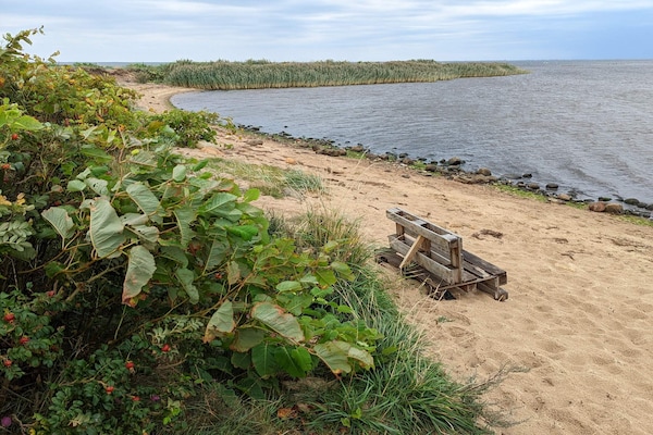 Foto van 5 persoons vakantie huis in Tarm - Vakantiehuis in Tarm - WaterView