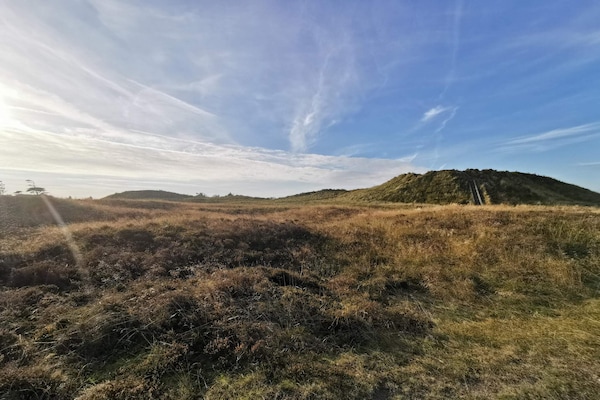 Foto van Zomerhuis met zwembad, sauna - Vakantiehuis in Rømø - Untagged