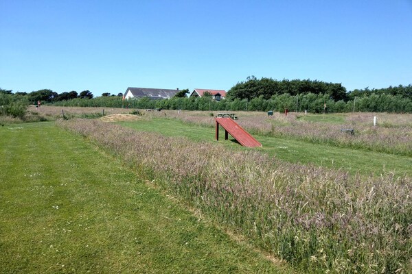 Foto van Rustieke Strandhut in Rindby-By Traum - Vakantiehuis in Fanø - Untagged