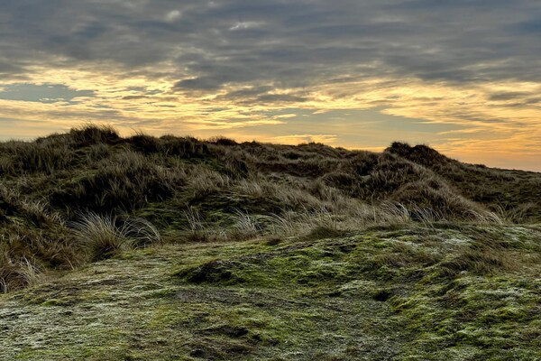 Foto van Rustieke Strandhut in Rindby-By Traum - Vakantiehuis in Fanø - Untagged