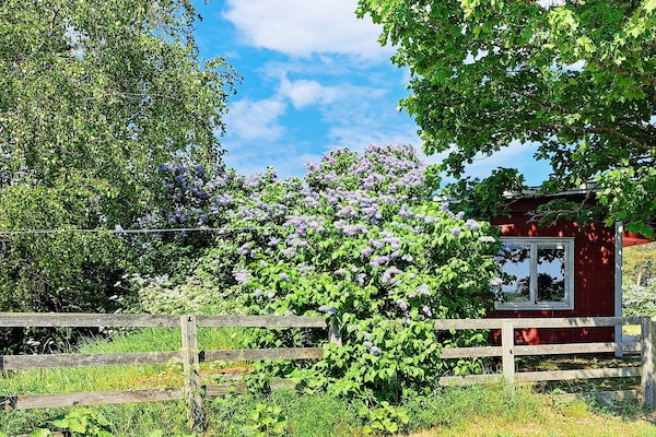 Foto van 4 persoons vakantie huis in GOTLANDS.TOFTA - Vakantiehuis in GOTLANDS.TOFTA - Outdoor