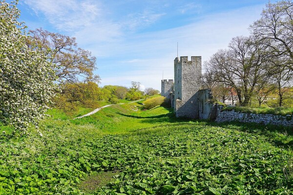 Foto van 4 persoons vakantie huis in GOTLANDS.TOFTA - Vakantiehuis in GOTLANDS.TOFTA - Untagged