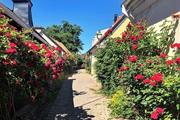 Foto van 4 persoons vakantie huis in GOTLANDS.TOFTA - Vakantiehuis in GOTLANDS.TOFTA - Untagged