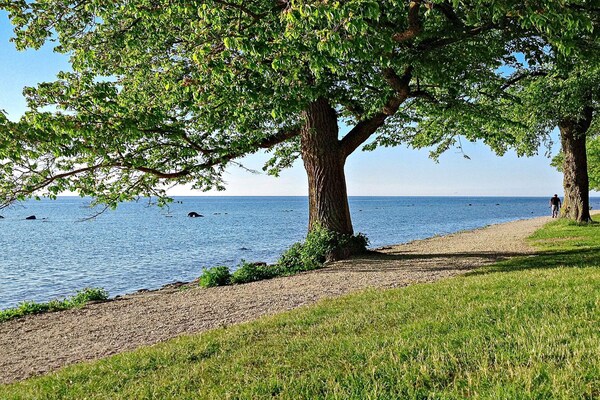 Foto van 4 persoons vakantie huis in GOTLANDS.TOFTA - Vakantiehuis in GOTLANDS.TOFTA - WaterView