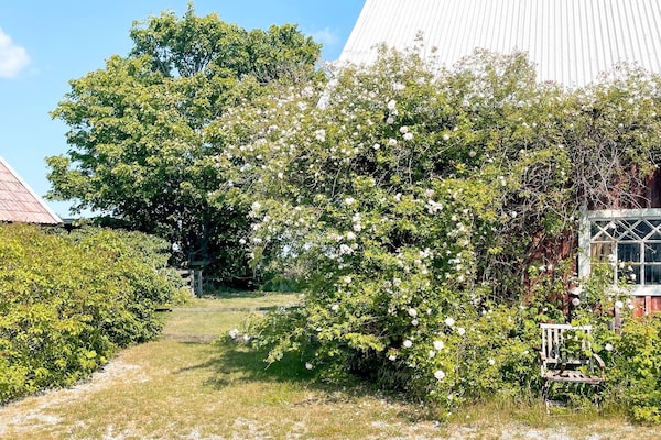 Foto van 4 persoons vakantie huis in GOTLANDS.TOFTA - Vakantiehuis in GOTLANDS.TOFTA - Outdoor