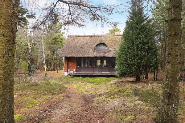 Foto van 6 persoons vakantie huis in Blåvand - Vakantiehuis in Blåvand - View