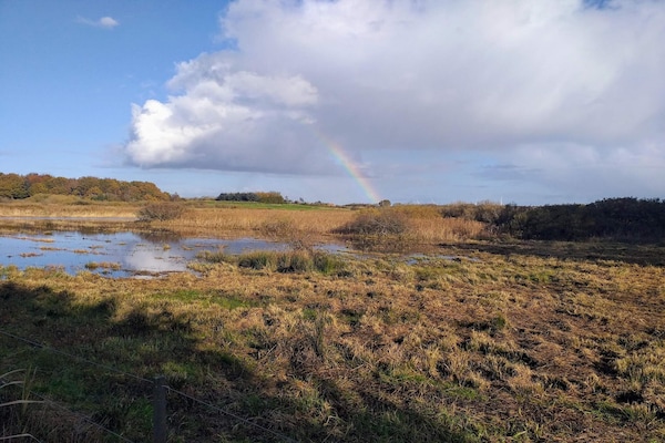 Foto van 4 persoons vakantie huis in Bøvlingbjerg - Vakantiehuis in Bøvlingbjerg - WaterView