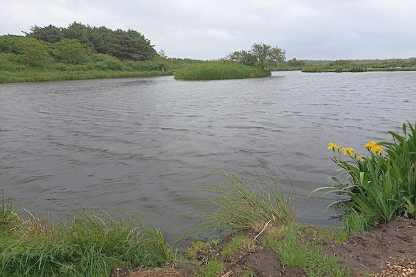 Foto van 4 persoons vakantie huis in Bøvlingbjerg - Vakantiehuis in Bøvlingbjerg - WaterView