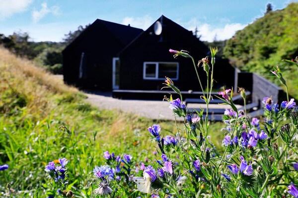 Foto van 6 persoons vakantie huis in Blokhus - Vakantiehuis in Blokhus - Outdoor