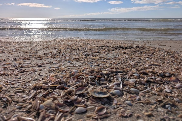 Foto van Afgelegen toevluchtsoord in Rindby - Vakantiehuis in Fanø - WaterView