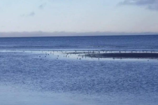 Foto van Kustsereniteit bij Knasborg Strand-By Traum - Vakantiehuis in Ålbæk - WaterView