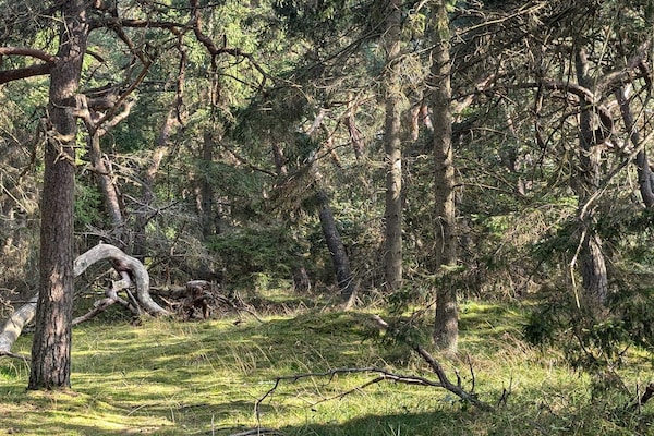 Foto van 24 persoons vakantie huis in Frederiksværk - Vakantiehuis in Frederiksværk - Untagged
