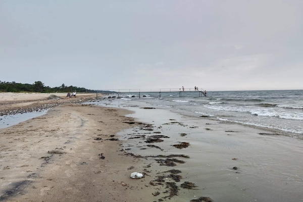 Foto van 6 persoons vakantie huis in Gilleleje - Vakantiehuis in Gilleleje - WaterView