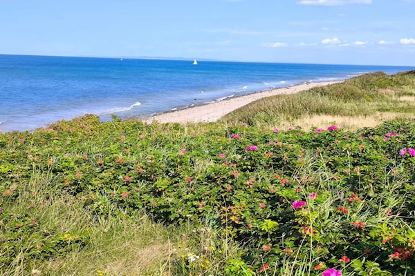 Foto van 6 persoons vakantie huis in Gilleleje - Vakantiehuis in Gilleleje - WaterView