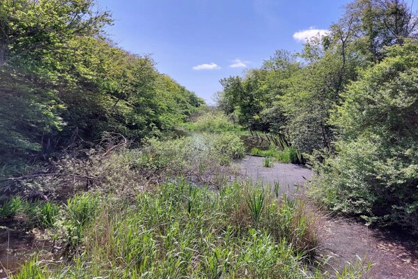 Foto van Betoverende toevluchtsoord in Henne Stad-By Traum - Vakantiehuis in Henne - Untagged