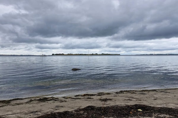 Foto van Kustplezier in Dyreborg-By Traum - Vakantiehuis in Faaborg - WaterView