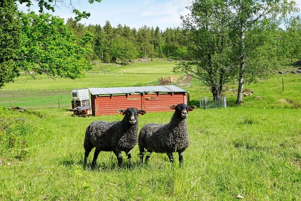 Foto van 5 persoons vakantie huis in Mellösa - Vakantiehuis in Mellösa - Untagged