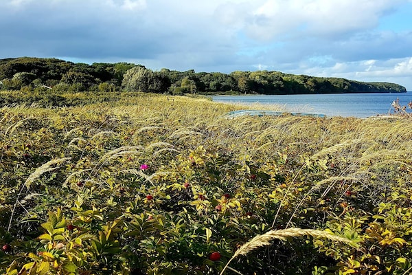 Foto van Kustsereniteit in Vejlby Fed-By Traum - Vakantiehuis in Middelfart - WaterView