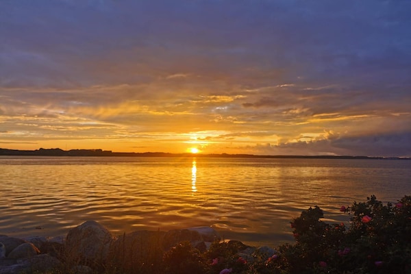 Foto van Kustsereniteit in Vejlby Fed-By Traum - Vakantiehuis in Middelfart - WaterView