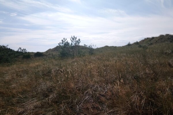 Foto van Gezellig eilandtoevluchtsoord in Vestero-By Traum - Vakantiehuis in Læsø - Untagged