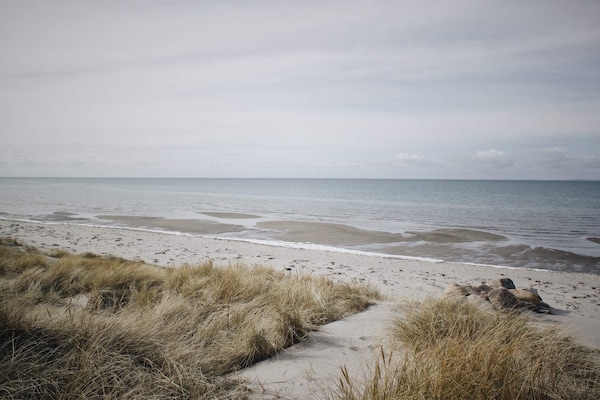 Foto van Gezellig eilandtoevluchtsoord in Vestero-By Traum - Vakantiehuis in Læsø - WaterView