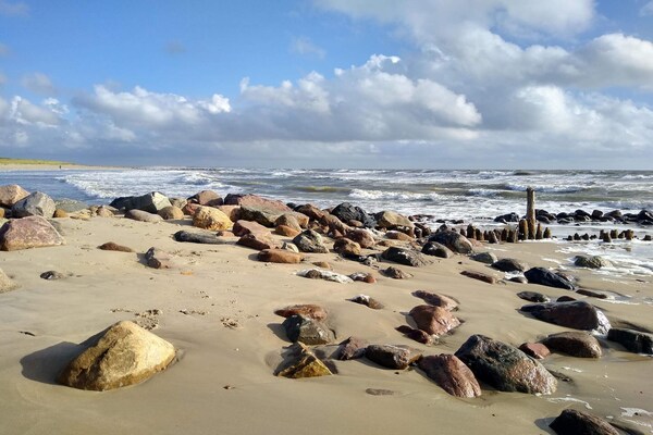 Foto van 4 persoons vakantie huis in Blåvand - Vakantiehuis in Blåvand - WaterView