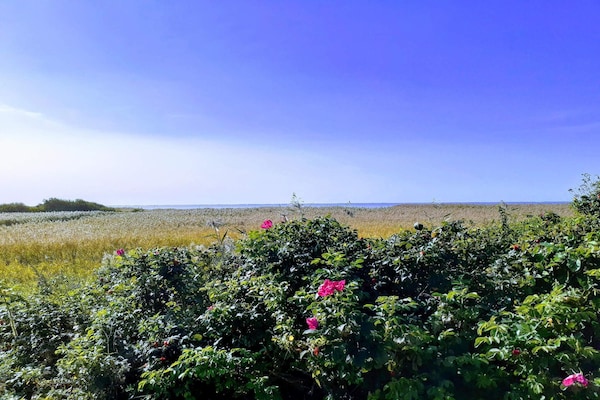 Foto van 4 persoons vakantie huis in Skjern - Vakantiehuis in Skjern - Outdoor