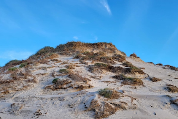 Foto van Gezellig Duinhuisje Toevluchtsoord-By Traum - Vakantiehuis in Hvide Sande - Untagged
