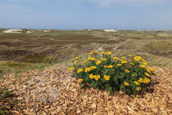 Foto van Gezellig Duinhuisje Toevluchtsoord-By Traum - Vakantiehuis in Hvide Sande - Untagged