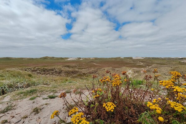 Foto van Gezellig Duinhuisje Toevluchtsoord-By Traum - Vakantiehuis in Hvide Sande - Untagged
