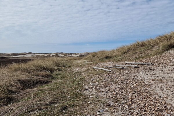 Foto van Gezellig Duinhuisje Toevluchtsoord-By Traum - Vakantiehuis in Hvide Sande - Untagged