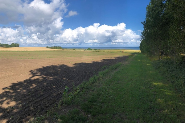 Foto van Kustsereniteit in Jaegerspris-By Traum - Vakantiehuis in Jægerspris - Untagged