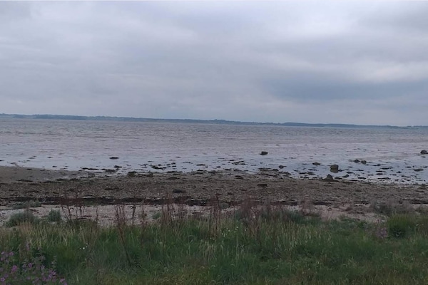 Foto van Kustsereniteit in Jaegerspris-By Traum - Vakantiehuis in Jægerspris - WaterView