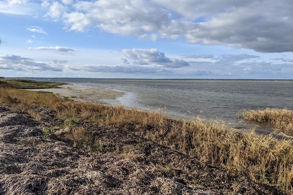 Foto van Kustsereniteit in Jaegerspris-By Traum - Vakantiehuis in Jægerspris - WaterView