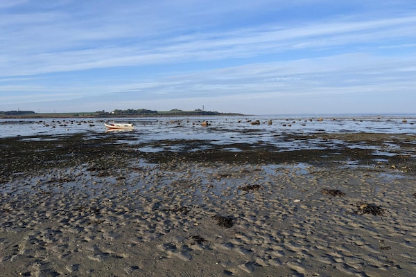 Foto van Kustsereniteit in Jaegerspris-By Traum - Vakantiehuis in Jægerspris - WaterView