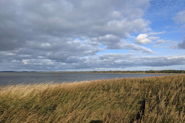 Foto van Kustsereniteit in Jaegerspris-By Traum - Vakantiehuis in Jægerspris - WaterView