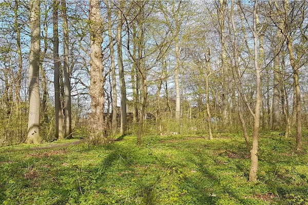 Foto van Kustsereniteit in Jaegerspris-By Traum - Vakantiehuis in Jægerspris - Untagged