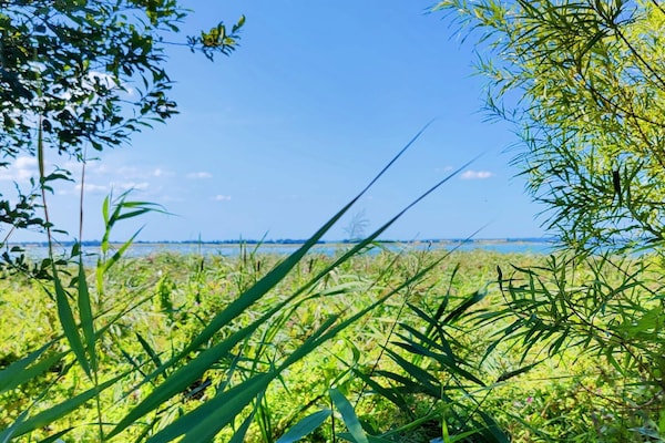 Foto van Kustsereniteit in Jaegerspris-By Traum - Vakantiehuis in Jægerspris - WaterView