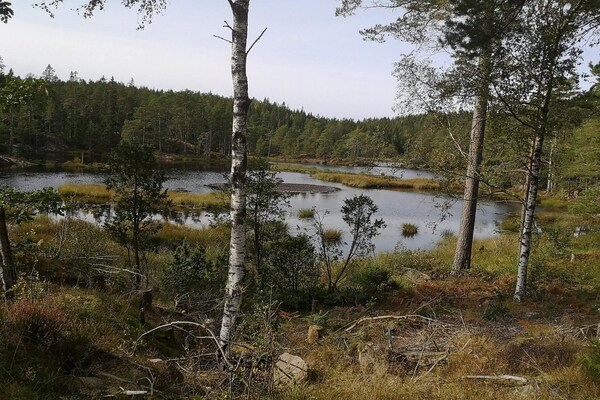 Foto van 4 persoons vakantie huis in Brålanda - Vakantiehuis in Brålanda - WaterView