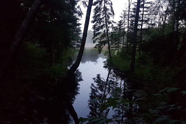 Foto van 4 persoons vakantie huis in Brålanda - Vakantiehuis in Brålanda - WaterView