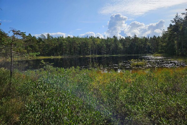 Foto van 4 persoons vakantie huis in Brålanda - Vakantiehuis in Brålanda - WaterView