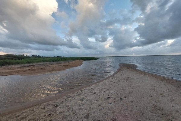 Foto van Kustplezier in Bork Harbor-By Traum - Vakantiehuis in Hemmet - WaterView