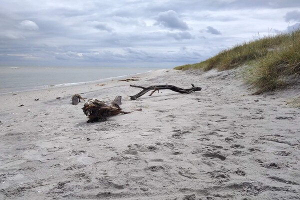 Foto van Kustsereniteit in Lyngsa-By Traum - Vakantiehuis in Sæby - WaterView