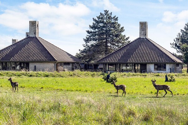 Foto van Premium vakantiehuis in Karrebæksminde - Vakantiehuis in Karrebæksminde - Untagged