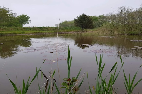 Foto van Rustiek toevluchtsoord bij Hemmet Strand-By Traum - Vakantiehuis in Hemmet - WaterView