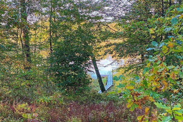 Foto van 4 persoons vakantie huis in SKÅNES-FAGERHULT - Vakantiehuis in SKÅNES-FAGERHULT - Untagged