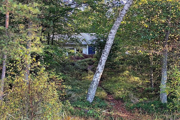 Foto van 4 persoons vakantie huis in SKÅNES-FAGERHULT - Vakantiehuis in SKÅNES-FAGERHULT - Outdoor