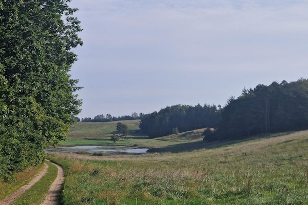 Foto van 6 persoons vakantie huis in Ebeltoft - Vakantiehuis in Ebeltoft - Untagged